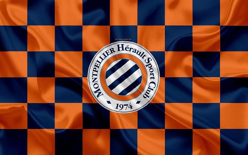 Montpellier HSC Southern Power of French Football